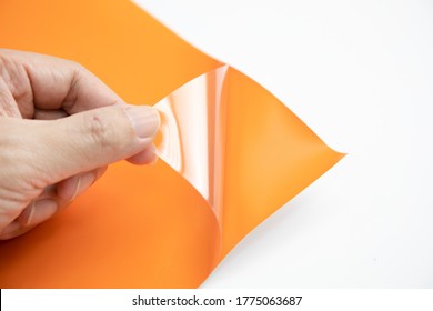 Hand Opens Orange Heat Transfer Vinyl, Separated Vinyl And Protective Film, Iron On Vinyl