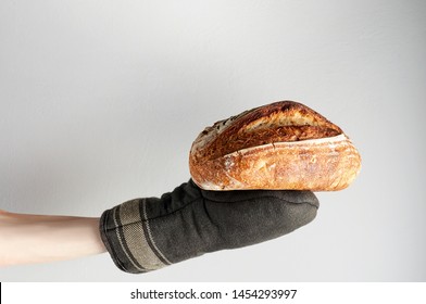 Hand In Oven Mitt Holding Freshly Baked Artisan Whole Grain Bread On A Gray Background. Close-up, Copy Space