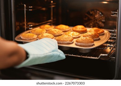 Hand, oven and muffins in baking, food or cooking sweet delicious cakes on a tray at home in the kitchen. Hands of baker taking hot muffin baked meal, treat or delight in pastry making at the house