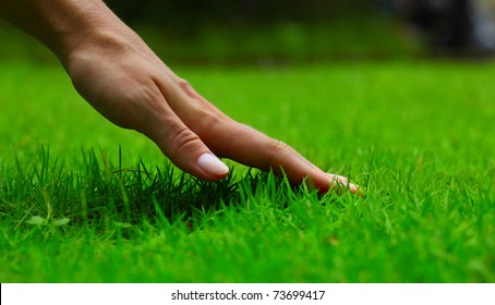 Hand over green lush grass - Shutterstock ID 73699417