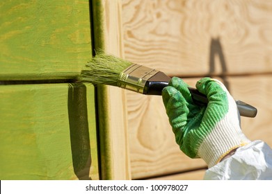 Hand With A Paint Brush Painting Wooden Wall In Green Outdoor Shot