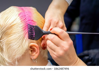 Hand with paintbrush dyeing white hair of woman in pink color at hair salon - Powered by Shutterstock