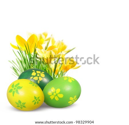 Hand painted Easter eggs and crocuses isolated on white background.