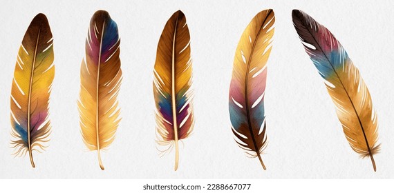 Hand painted watercolor bird feathers closeup isolated on white background colorful set. Art scrapbook elements, sketch, hand drawn