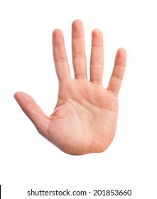 hand palm