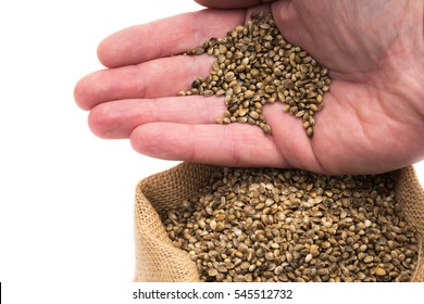 Hand palm with hemp seeds over an open sack on white background