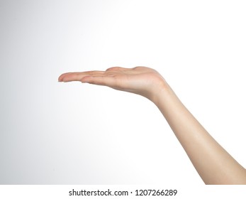 hand palm woman - Shutterstock ID 1207266289