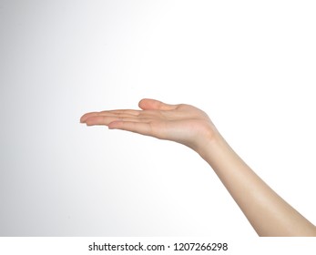 hand palm woman - Shutterstock ID 1207266298