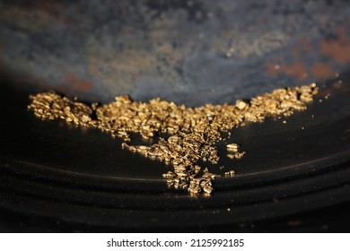 Hand Panned River Gold Nuggets From Bulgaria In Gold Pan