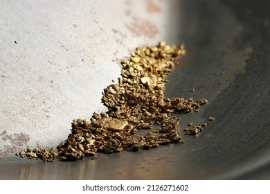 Hand Panned River Gold Nuggets From Bulgaria In Gold Pan