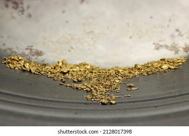 Hand Panned River Gold Nuggets From Bulgaria In Gold Pan