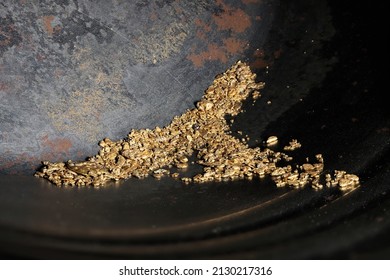 Hand Panned River Gold Nuggets From Bulgaria In Gold Pan