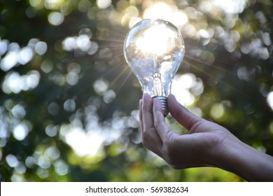 Hand of person holding light bulb for idea or success or solar energy 