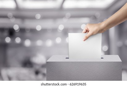 642 Voting slip Stock Photos, Images & Photography | Shutterstock