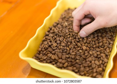 Hand pick coffee