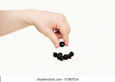 Hand Picking Up Black Currant