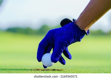 Hand Picking Up A Golf Ball From The Fairway At Golf Court.