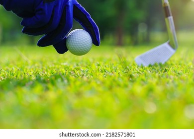 Hand Picking Up A Golf Ball From The Fairway At Golf Court.