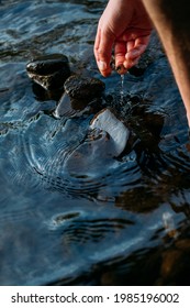 Hand Picking Up Stones And Rocks In A Riverbed