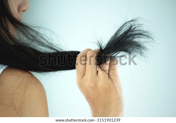 Hand Pickup Damaged Hair Split Ends Stock Photo Edit Now 1151901239