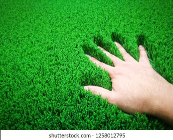 Hand placed on green artificial grass.