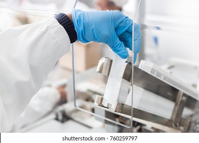 Hand Placing Labels Into A Label Inserting Machine. Pharmaceutical Manufacturing. 