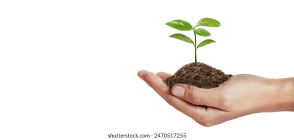 Hand plant trees for sustainability, planting - Powered by Shutterstock