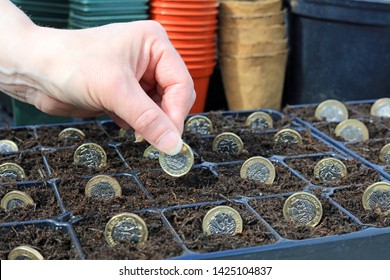 A Hand Planting A Pound Coin Into A Compost Filled Seeding Tray In A Potting Shed. Making Your Money Grow Concept.