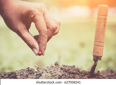 Hand Planting A Seed In Soil