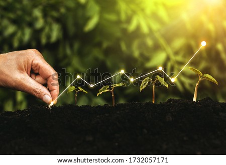 Hand planting seedling growing step in garden with sunshine. Concept of business growth, profit, development and success.