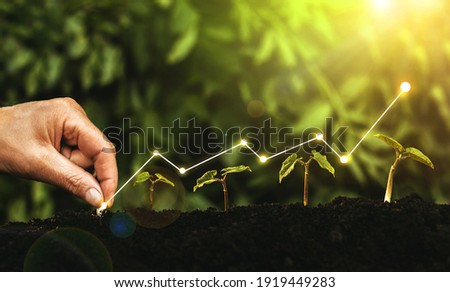 Hand planting seedling growing step in garden with sunny background. Concept of business growth, profit, development and success.