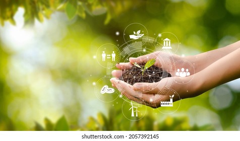 Hand planting trees with technology of renewable resources to reduce pollution ESG icon concept in hand for environmental, social and sustainable business governance.