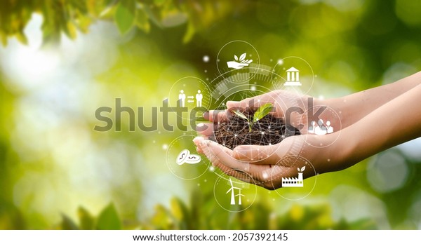 Hand planting trees with\
technology of renewable resources to reduce pollution ESG icon\
concept in hand for environmental, social and sustainable business\
governance.