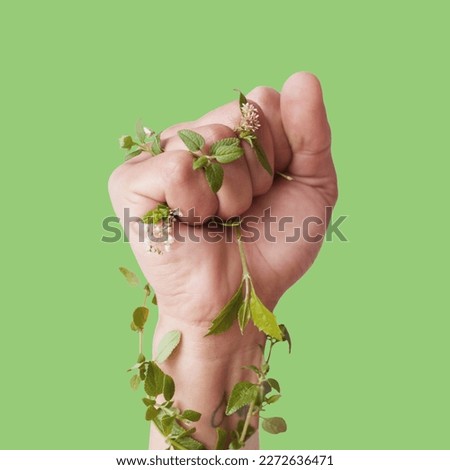 Similar – green senecio leaf in person’s hand macro closeup in nature