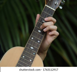 Hand Playing On A Cuatro - Puerto Rico National Instrument