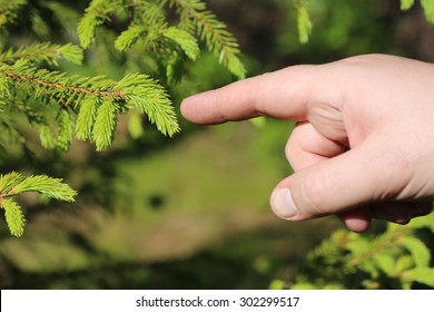 Hand pointing on tree