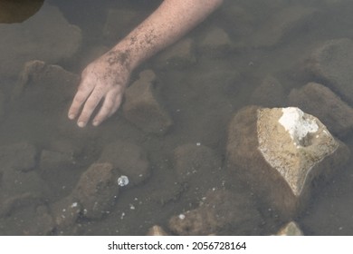 the hand in the pond of a dead man drowned in the river , killed in the water.selective focus, cinematic photo toning