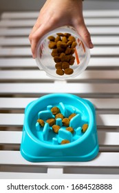 Hand Pouring Dog Food Into The Blue Dog Bowl. Dog Food Concept.