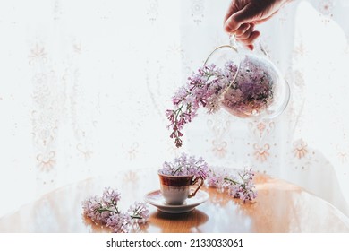 Hand pouring lilac from carafe, glass bowl to the small vintage teacup - Powered by Shutterstock