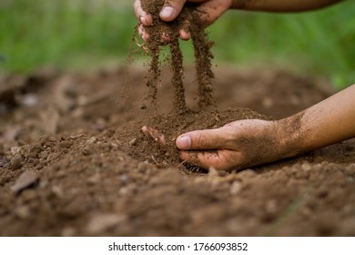 Hand Pouring Soil Checking Quality For Sow Or Grow A Seedling Of Vegetable.