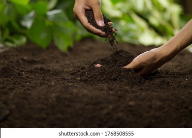 Hand Pouring Soil Checking Quality Prepare Growing Seedling At Home Garden.