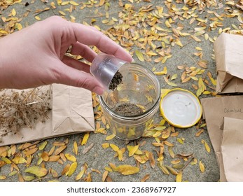 A hand pours a cup full of seeds into a glass jar for storage - Powered by Shutterstock