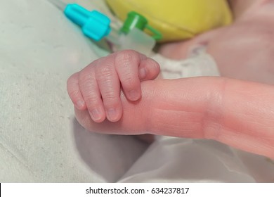 Hand Of Premature Newborn Baby With Pleural Cavity Drainage Hold Her Mother Finger In Neonatal Intensive Care Unit At Children's Hospital