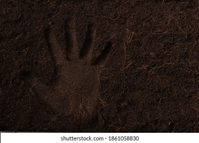 Hand Print In Black Land For Plant Background, Top View Of Handprint On Fresh Soil With Mulch For Gardening Texture, World Soil Day Concept