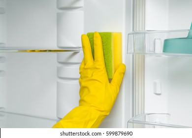 Hand In Protective Glove With Sponge Cleaning Inside Of Fridge In The Kitchen. Early Spring Cleaning Or Regular Clean Up.