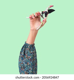 Hand Pruner Isolated In Studio Held By A Woman#39;s Hand