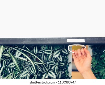 Woman’s Hand Pulling Down Projector Screen In Meeting Room. Training, Meeting, Conference And Business Concept, Copy Space