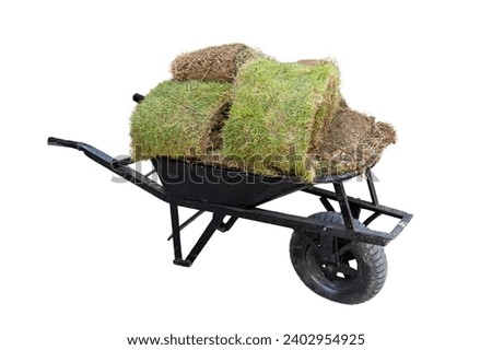 Hand pushcart full with grass for lawn on white isolated background