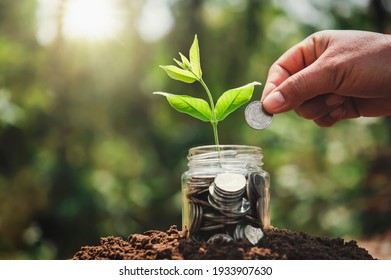 hand putting coins into jug glass with plant growing on money. concept saving finance and accounting - Powered by Shutterstock