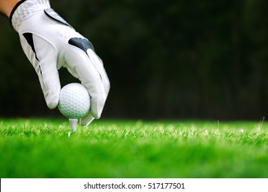 Hand putting golf ball on tee in golf course